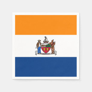 Vlag van Albany, New York Servet
