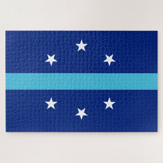 Vlag van Anaheim (Californië, VS) Legpuzzel (Horizontaal)