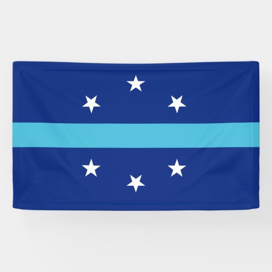 Vlag van Anaheim (Californië, VS) Spandoek (Horizontaal)