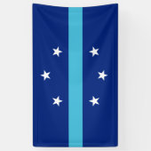 Vlag van Anaheim (Californië, VS) Spandoek (Verticaal)