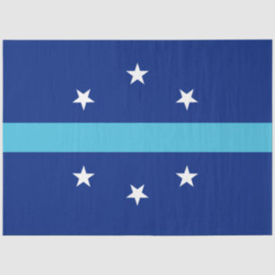 Vlag van Anaheim (Californië, VS) Tissuepapier