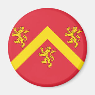 Vlag van Anglesey Magnet Magneet