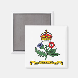 Vlag van Annapolis, Maryland Magneet