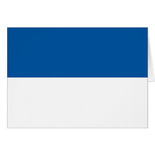 Vlag van Assen