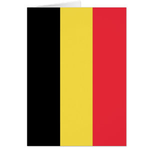Vlag van België