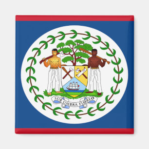 Vlag van Belize Magneet