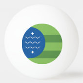 Vlag van Bellingham, Washington Pingpongballen (Achterkant)