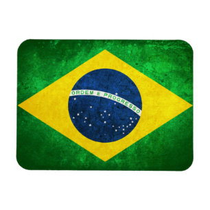 vlag van Brazilië Magneet