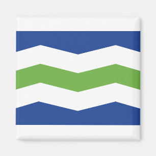Vlag van Burlington, Vermont Magneet