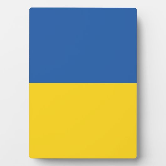 Vlag van Button Oekraïne Fotoplaat (voorkant)