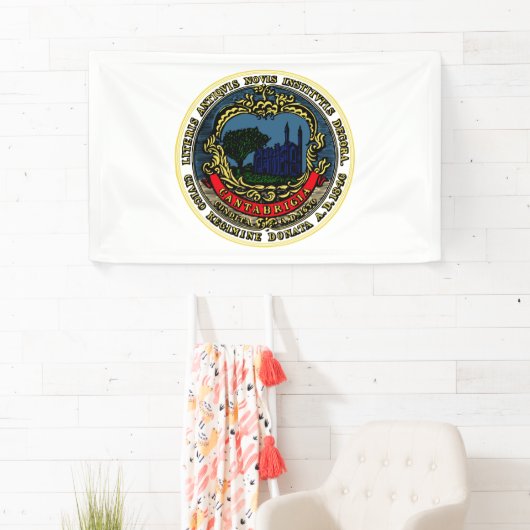 Vlag van Cambridge (Massachusetts) Spandoek (Insitu)