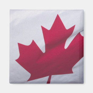 Vlag van Canada. Magneet