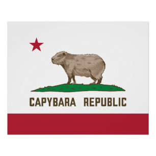 Vlag van Capybara Republic Perfect Poster