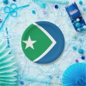 Vlag van Cedar Rapids, Iowa Papieren Bordje (Feest)