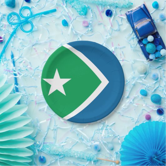 Vlag van Cedar Rapids, Iowa Papieren Bordje (Feest)