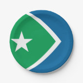 Vlag van Cedar Rapids, Iowa Papieren Bordje (Voorkant)