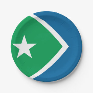 Vlag van Cedar Rapids, Iowa Papieren Bordje