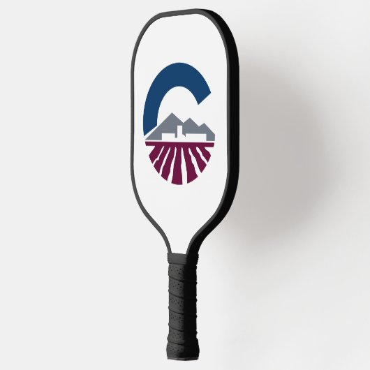 Vlag van Chandler, Arizona Pickleball Paddle (Links)