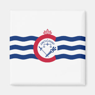 Vlag van Cincinnati (Ohio) Magneet