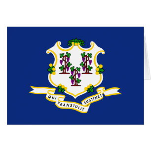 Vlag van Connecticut
