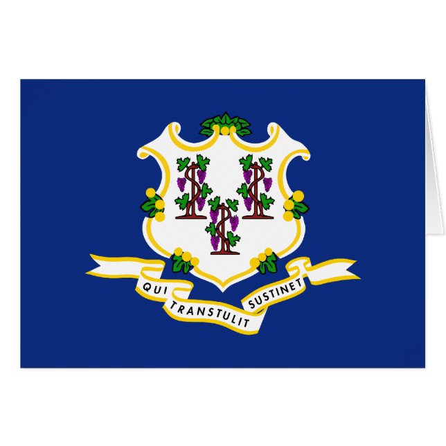Vlag van Connecticut (Voorkant Horizontaal)