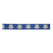 Vlag van Connecticut Lint (Voorkant)