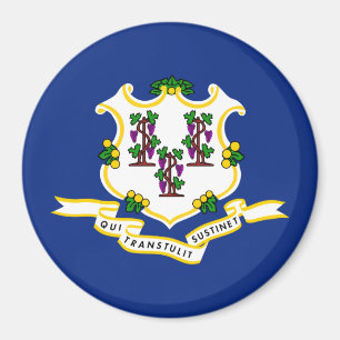 Vlag van Connecticut Magneet