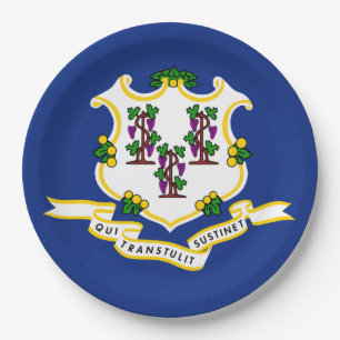 Vlag van Connecticut Papieren Bordje