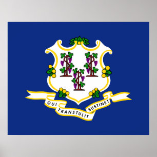 Vlag van Connecticut Poster