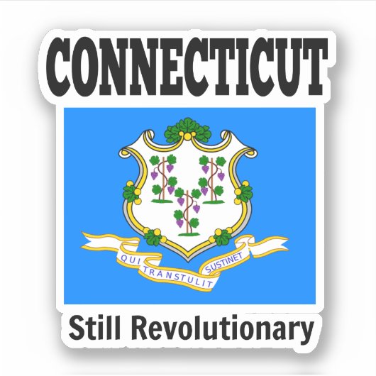 Vlag van Connecticut, Verenigde Staten Sticker (Voorkant)