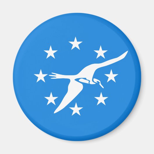 Vlag van Corpus Christi, Texas Magneet (Voorkant)