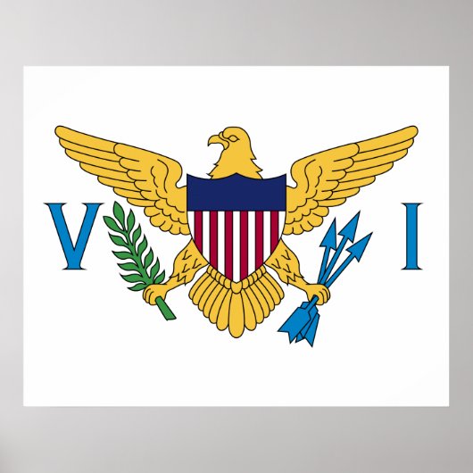 Vlag van de Amerikaanse Maagdeneilanden Poster (Voorkant)