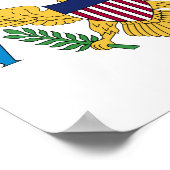 Vlag van de Amerikaanse Maagdeneilanden Poster (Hoek)