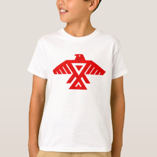 Vlag van de Anishinaabek, Anishinaabe T-shirt