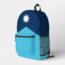 vlag van de deelstaat Minnesota