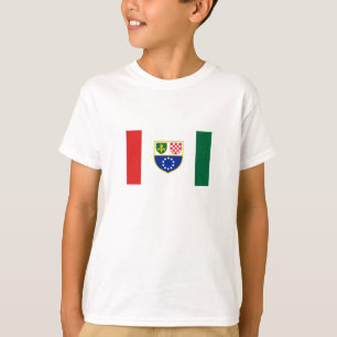 Vlag van de Federatie Bosnië-Herzegovina T-shirt