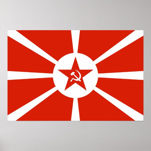 Vlag van de marine 1923 poster (Voorkant)