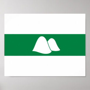 Vlag van de oblast Kurgan Poster