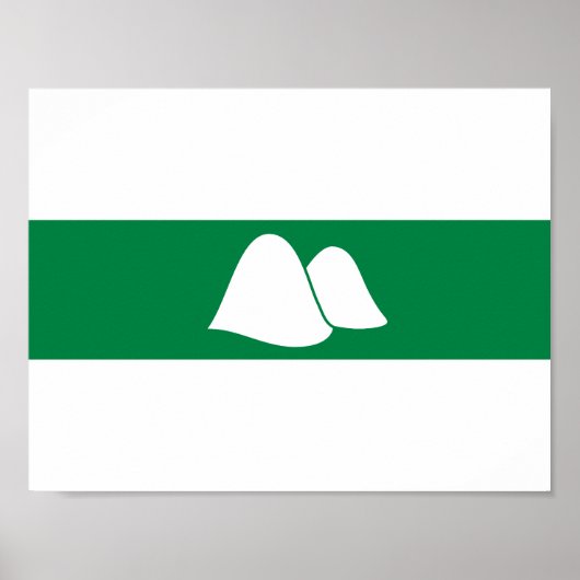 Vlag van de oblast Kurgan Poster (Voorkant)