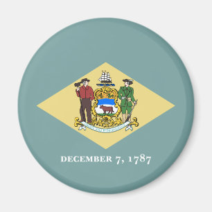 Vlag van de staat Delaware Magneet