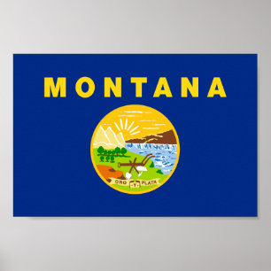 vlag van de staat Montana Poster