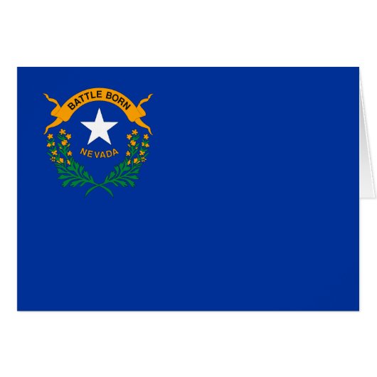Vlag van de staat Nevada (Voorkant Horizontaal)