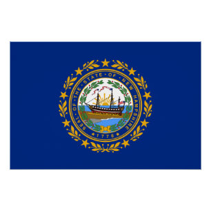 Vlag van de staat New Hampshire Perfect Poster