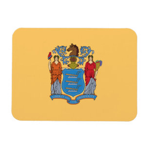 Vlag van de staat New Jersey Magneet
