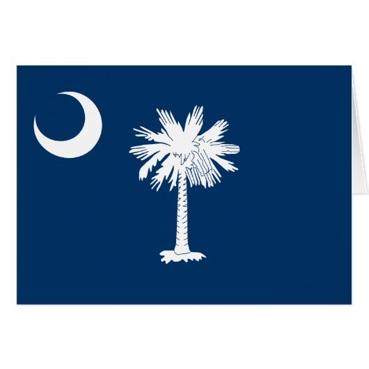 vlag van de staat South Carolina (Voorkant Horizontaal)