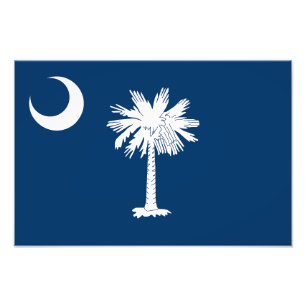 vlag van de staat South Carolina Foto Afdruk