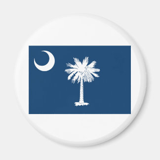 vlag van de staat South Carolina Magneet