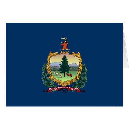 Vlag van de staat Vermont (Voorkant Horizontaal)