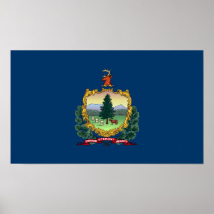 Vlag van de staat Vermont Poster