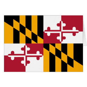 Vlag van de staat Vibrant Maryland